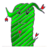 Rankox