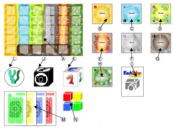 FischiMon - Snapshot Inhalt